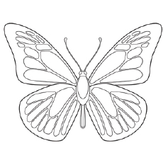 230x230 Top 50 Free Printable Butterfly Coloring Pages Online