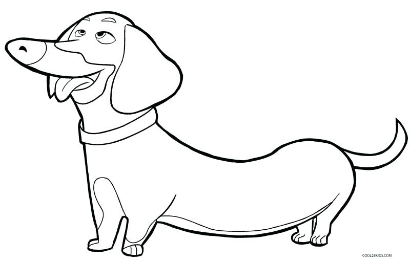 800x512 Dog Coloring Pages Dog Coloring Pages For Adults Packed With Free