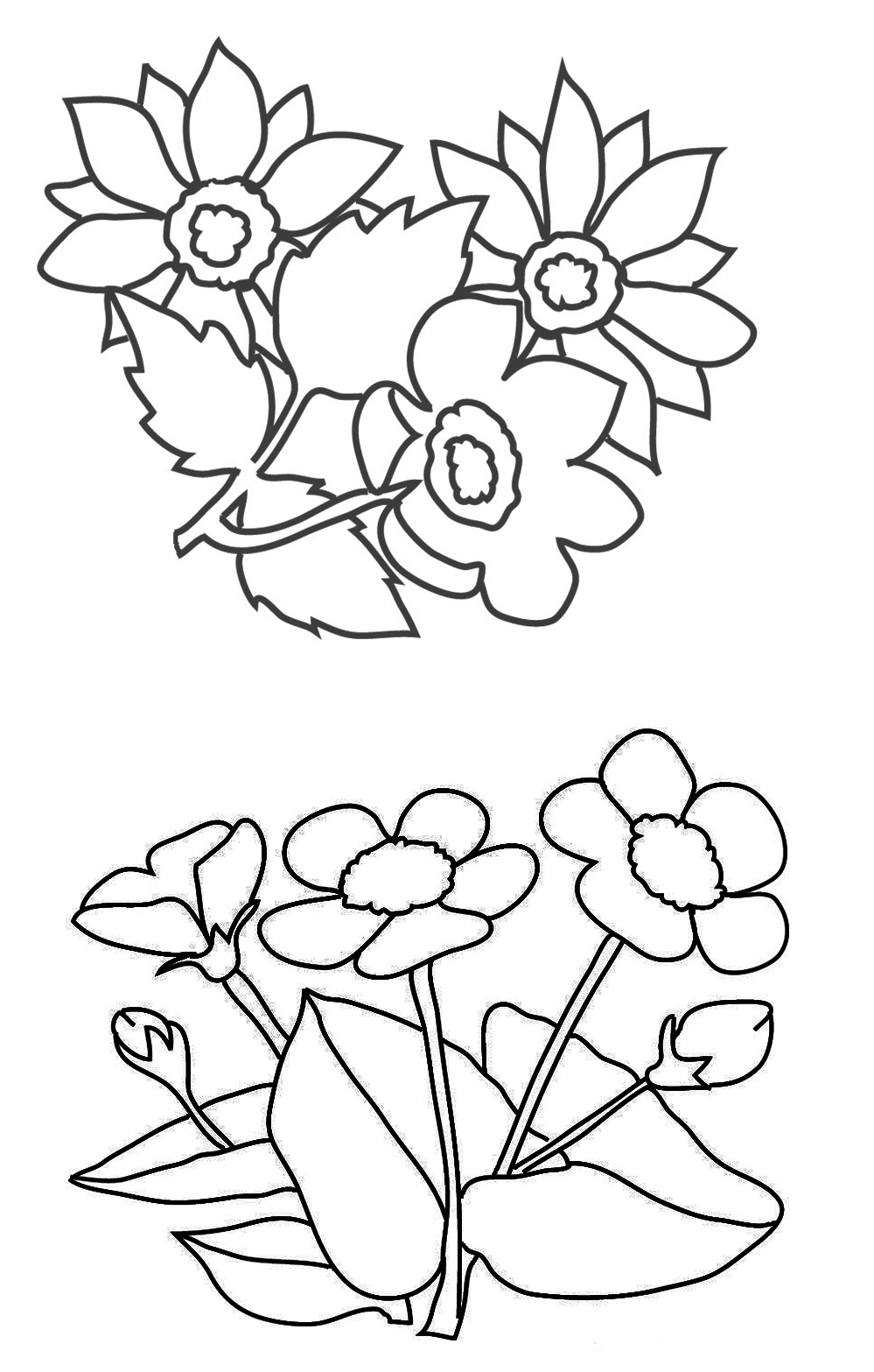 Flower Coloring Pages 999x1567 Flower Coloring Pages