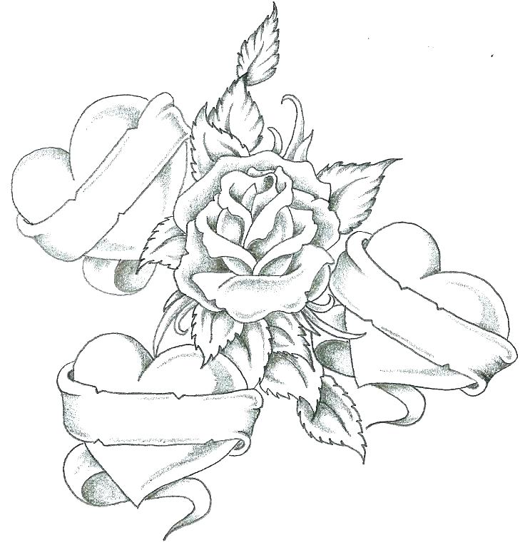 Hearts Coloring Page Heart Anatomy Coloring Pages Heart Coloring 736x764 Hearts Coloring Page Heart Anatomy Coloring Pages Heart Coloring