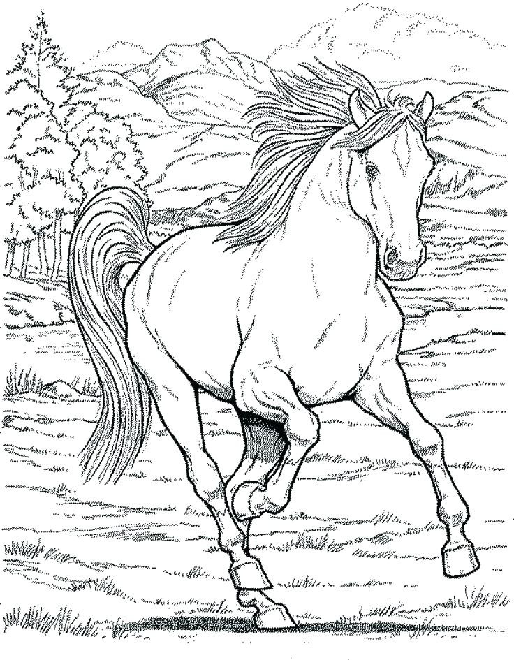 736x945 Printable Horse Coloring Pages Best Of Coloring Page Horse Free