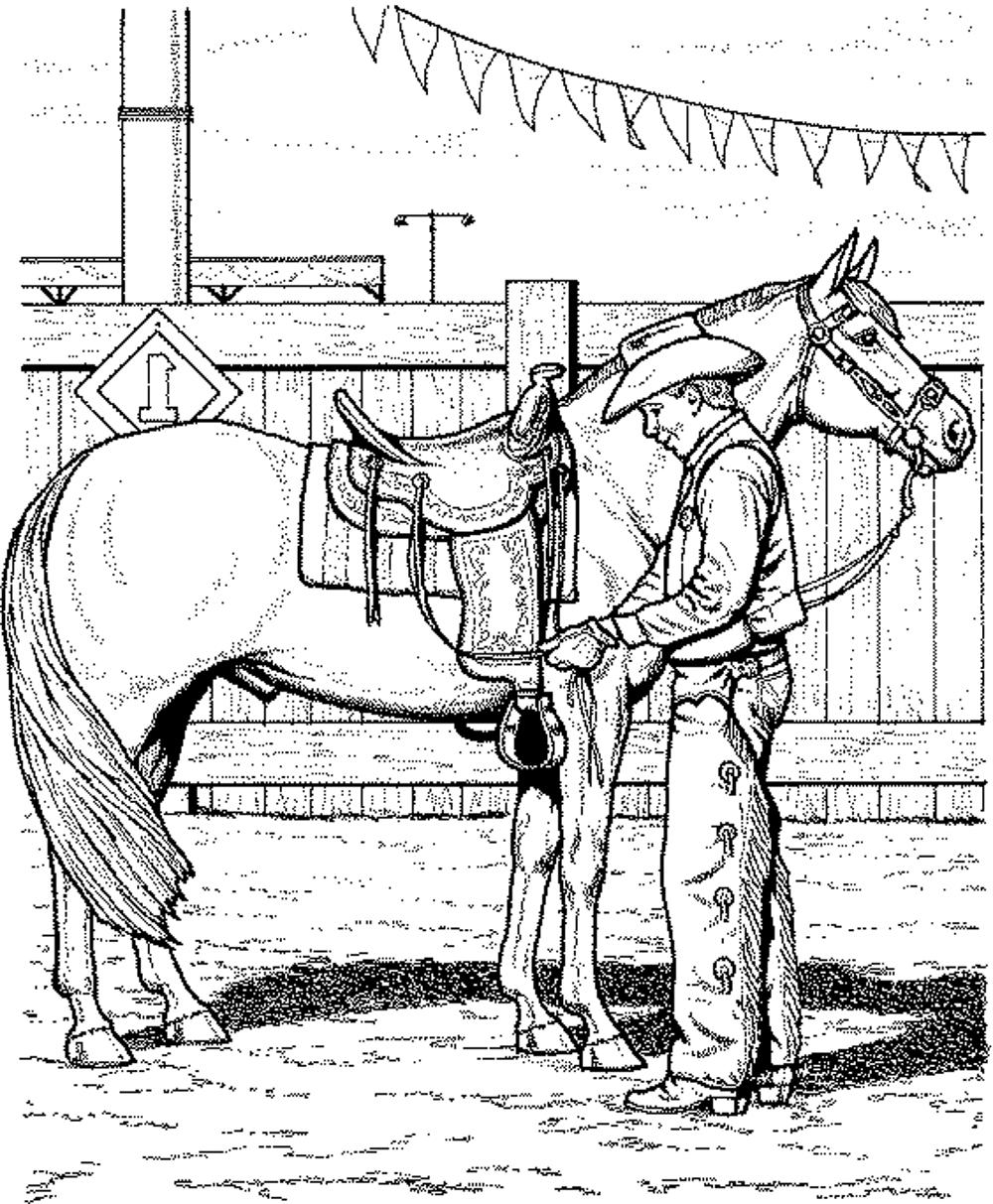 1000x1213 Realistic Horse Coloring Page