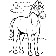 230x230 Top 48 Free Printable Horse Coloring Pages Online