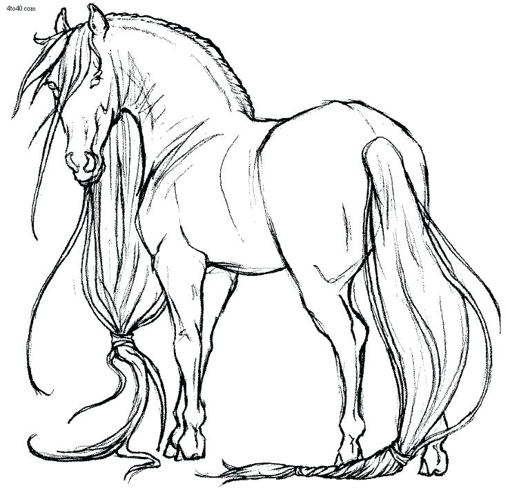 736x707 Coloring Pages Of Animals Horses Vanda