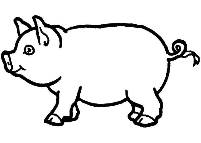 Coloring Pages Of Pigs Coloring Pages Of Pigs Download Coloring 700x500 Coloring Pages Of Pigs Coloring Pages Of Pigs Download Coloring