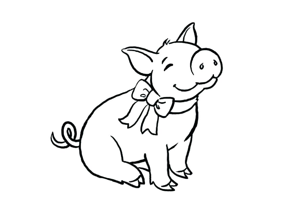 1024x731 Pig Color Page With Pig Color Page Pig Coloring Picture Pig