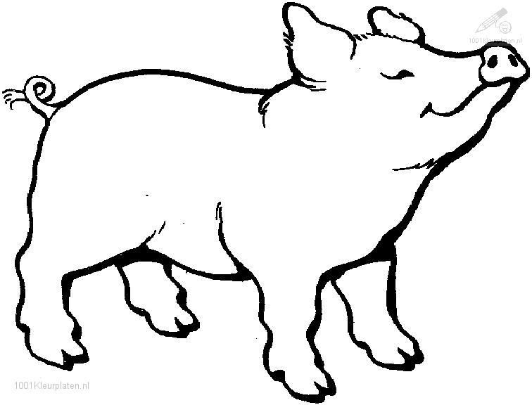 756x576 Pig Coloring Pages 1001 Coloringpages Animals Gtgt Pig Gtgt Pig