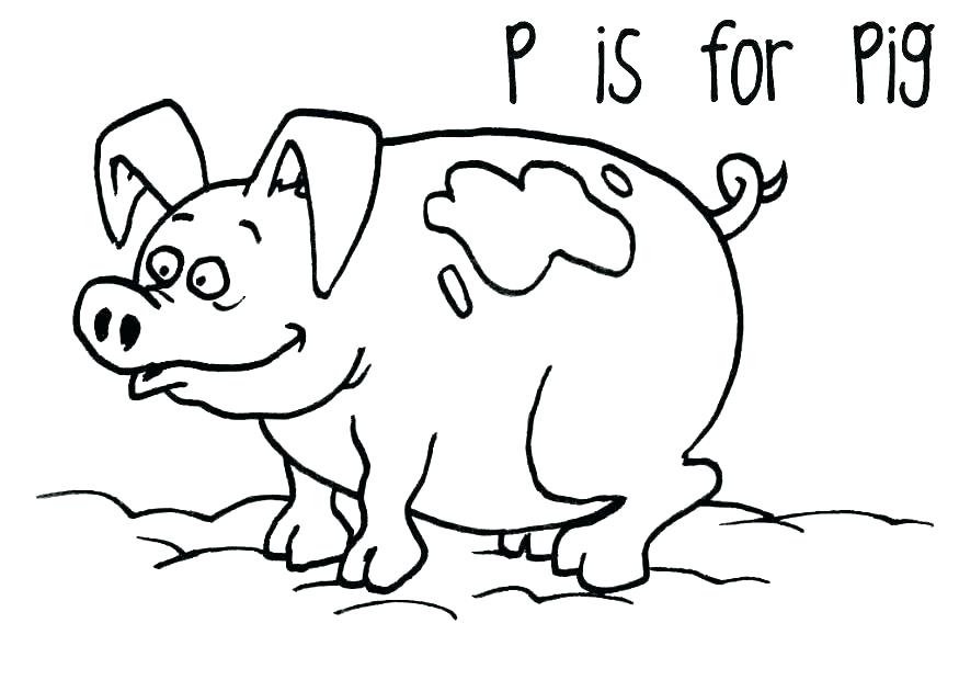 875x620 Cute Pig Coloring Pages Cute Pig Coloring Pages Printable Coloring