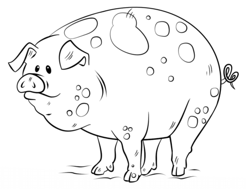 Pig Coloring Book Pages 480x369 Pig Coloring Book Pages
