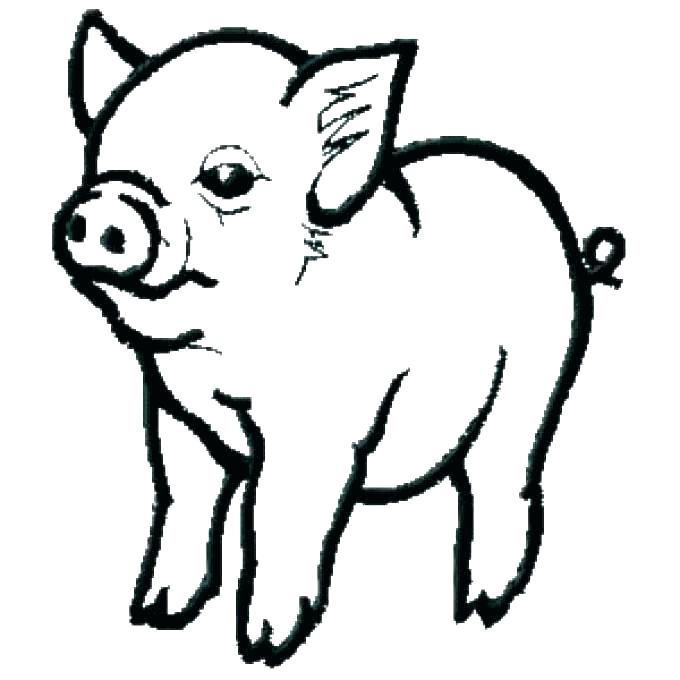 680x680 Pig Coloring Pages Coloring Pages Pig Pig Coloring Pages Pig