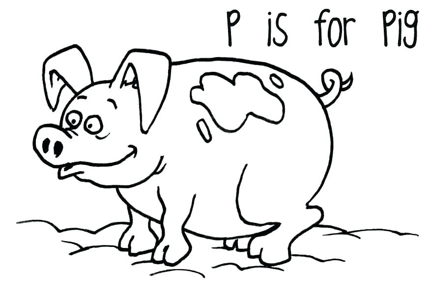 875x620 Cool Guinea Pig Coloring Pages Guinea Pig Coloring Page Pig