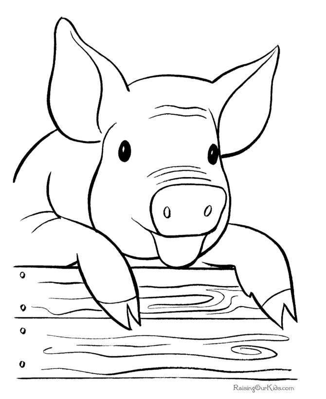 Pig Face Coloring Page 670x820 Pig Face Coloring Page