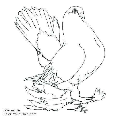 Mo Willems Coloring Pages Free Kids Coloring Nonsensical Pigeon 500x500 Mo Willems Coloring Pages Free Kids Coloring Nonsensical Pigeon