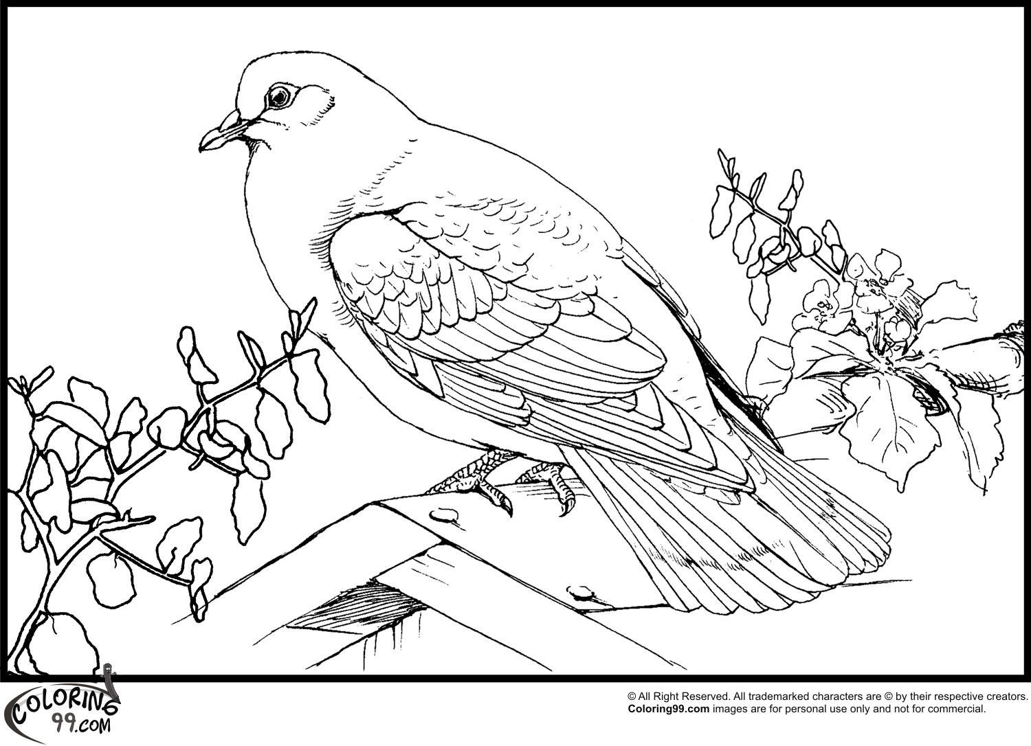 Peace Dove Coloring Page Printable Pages Click The To View Version 1500x1086 Peace Dove Coloring Page Printable Pages Click The To View Version