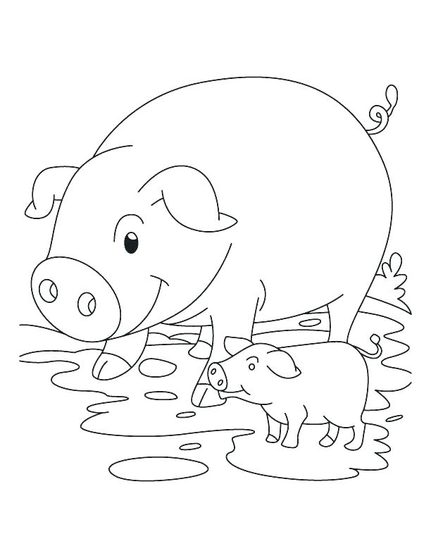 Coloring Pages Of Pigs Piglet Coloring Page Piglet Coloring Page 612x792 Coloring Pages Of Pigs Piglet Coloring Page Piglet Coloring Page