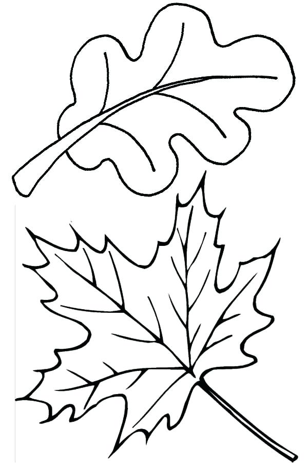 Fall Leaves Coloring Pages 600x900 Fall Leaves Coloring Pages