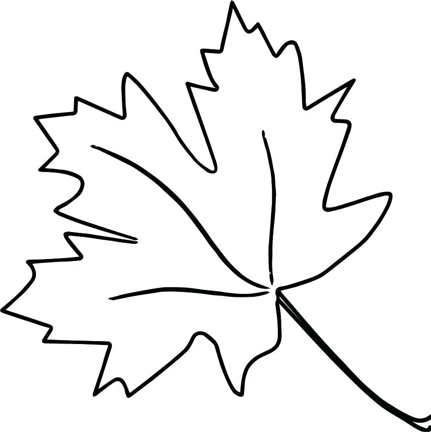 Leaf Coloring Page Leaf Color Pages Thanksgiving Leaves Coloring 878x879 Leaf Coloring Page Leaf Color Pages Thanksgiving Leaves Coloring