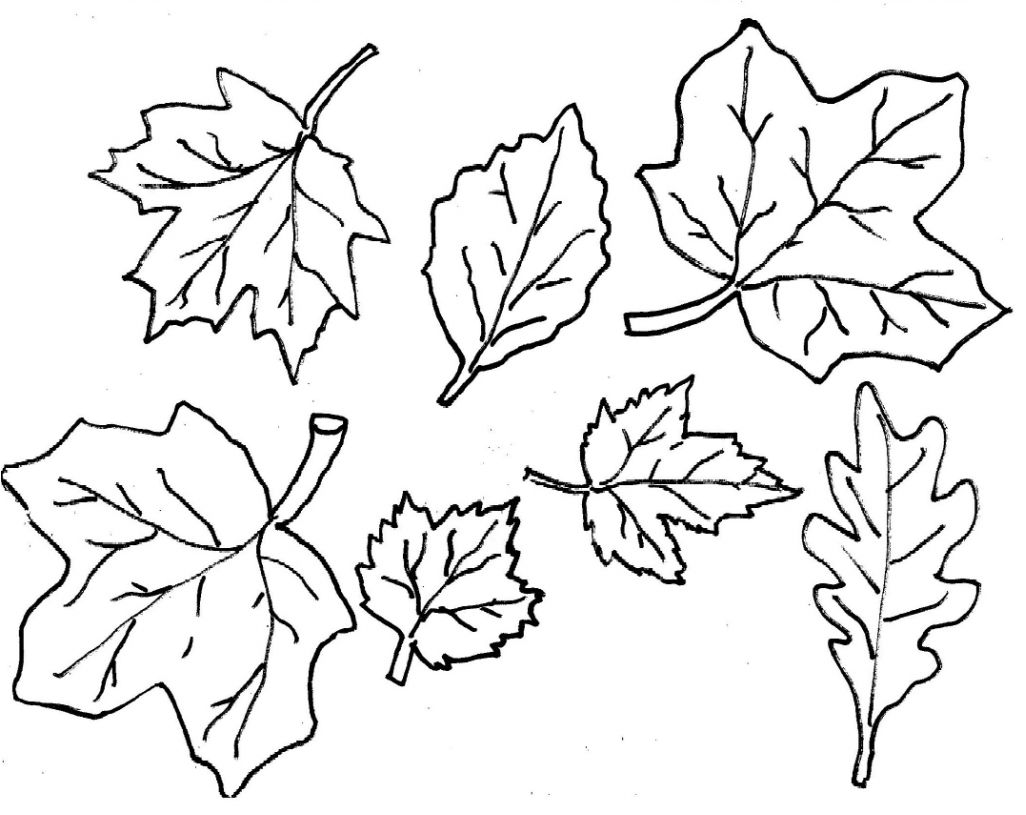 Awesome Fall Leaves Coloring Pages 43 About Remodel Picture 1026x815 Awesome Fall Leaves Coloring Pages 43 About Remodel Picture