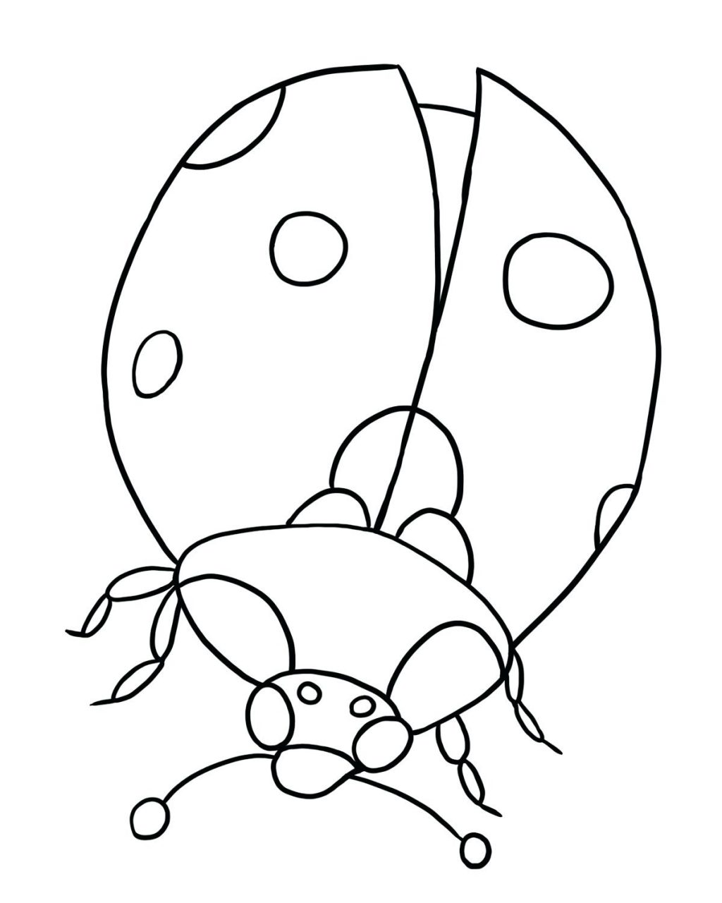 Fortune Pill Bug Coloring Page Drawing At Getdrawings Com Free 1024x1280 Fortune Pill Bug Coloring Page Drawing At Getdrawings Com Free