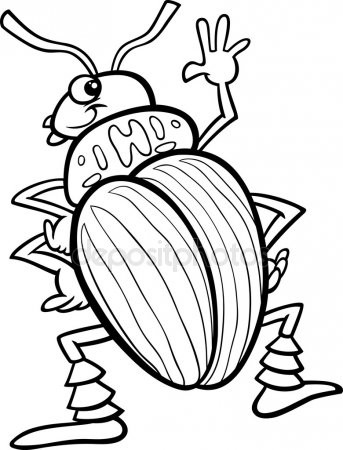 Pill Bug Coloring Page Luxury Beetle Stock Vectors Royalty Free 343x450 Pill Bug Coloring Page Luxury Beetle Stock Vectors Royalty Free
