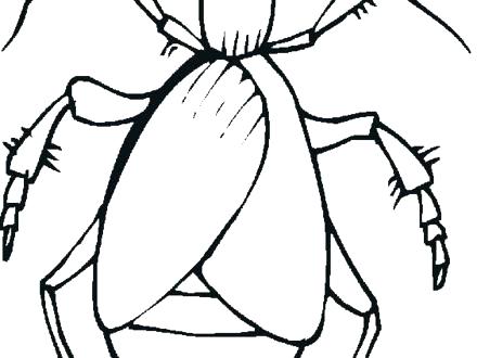 Bug Coloring Sheet Bug Coloring Sheets Best Collection Coloring 440x330 Bug Coloring Sheet Bug Coloring Sheets Best Collection Coloring