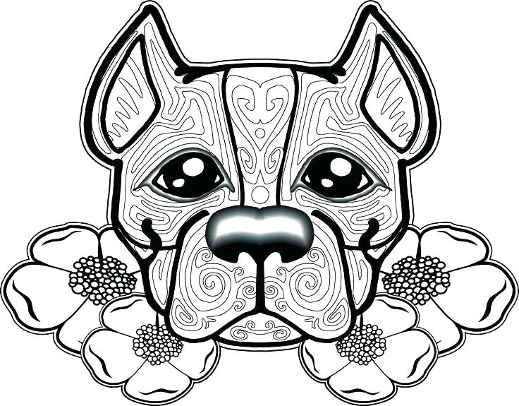 736x575 Coloring Pages Of Pit Bulls Coloring Pages Pin Pit Bull Coloring
