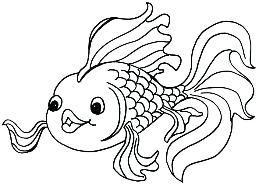 850x618 Tropical Fish Coloring Pages Cute Fish Coloring Pages Pin Drawn