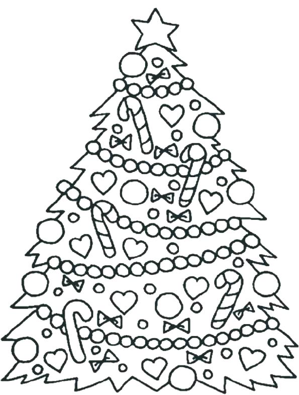 Printable Pine Tree Coloring Pages Free F Fuhrer Von 595x785 Printable Pine Tree Coloring Pages Free F Fuhrer Von
