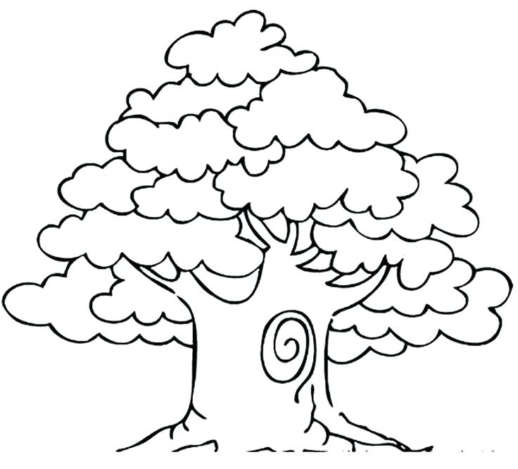 Tree Coloring Pages Bare Tree Without Leaves Coloring Pages Tree 736x666 Tree Coloring Pages Bare Tree Without Leaves Coloring Pages Tree