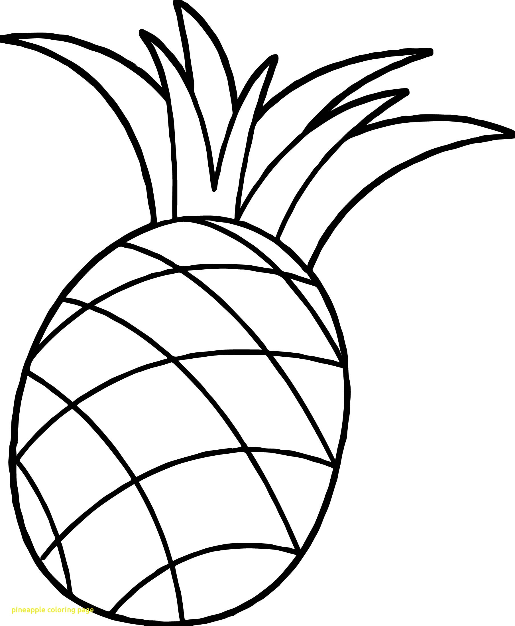 1807x2194 Pineapple Coloring Page