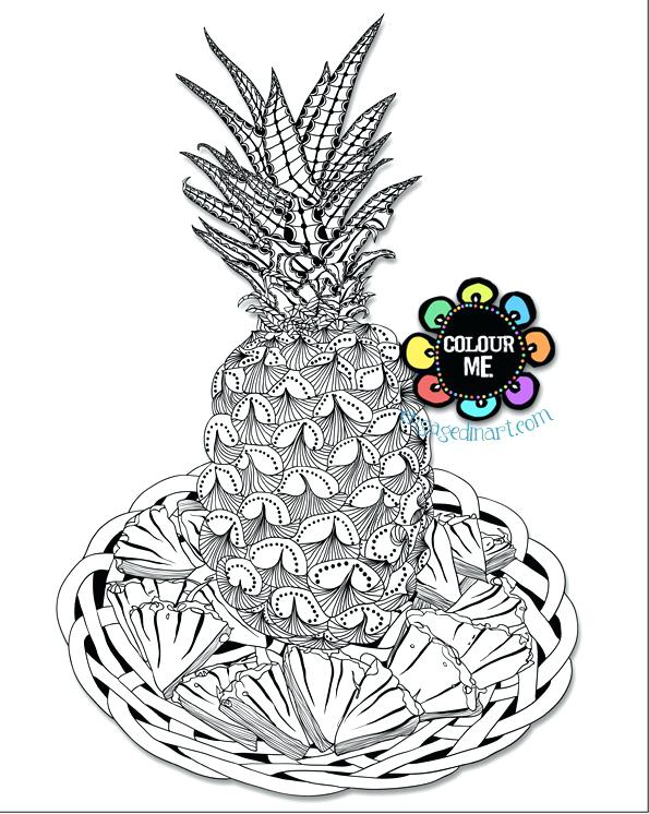 595x746 Pineapple Coloring Page Colouring Pages For Adults Preschool
