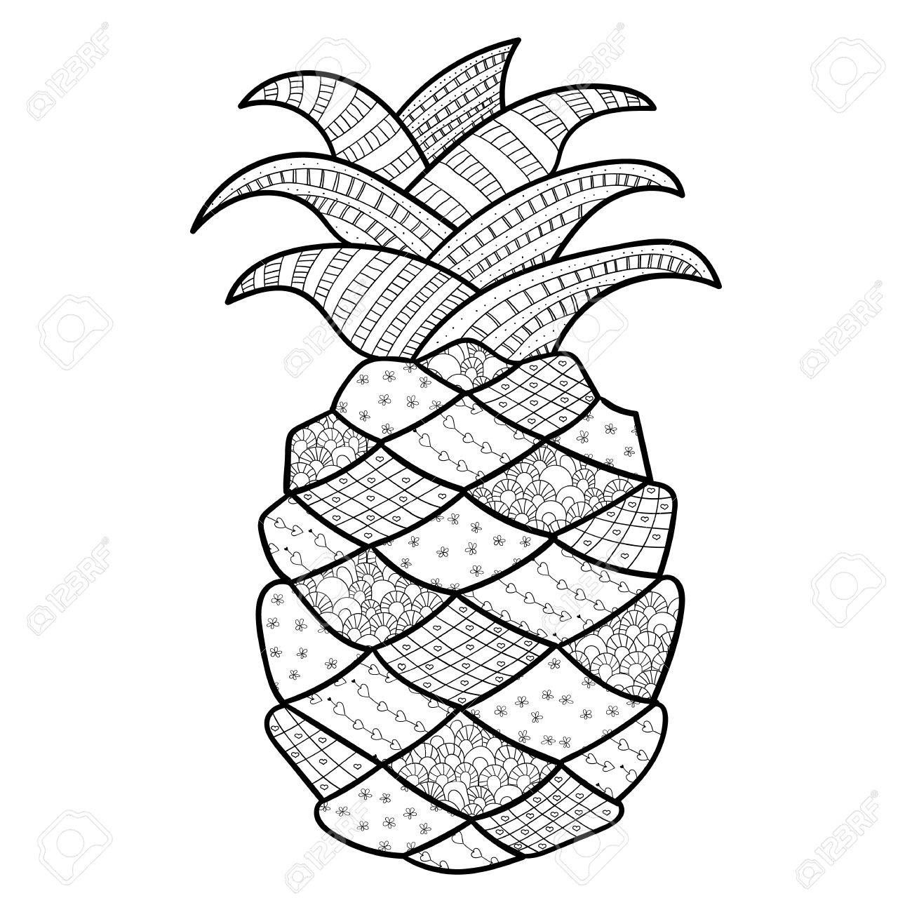 1300x1300 57361785 Pineapple Adult Coloring Page Zentangle Inspired
