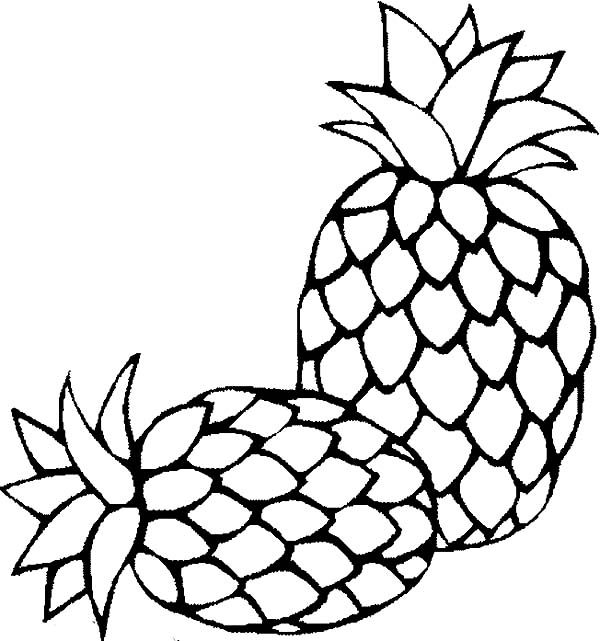 600x641 Two Fresh Sugarloaf Pineapple Coloring Page