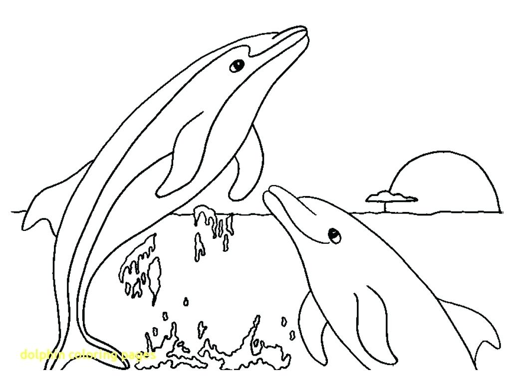 1024x768 Dolphins Coloring Page Dolphin Pages With Free Printable For Kids