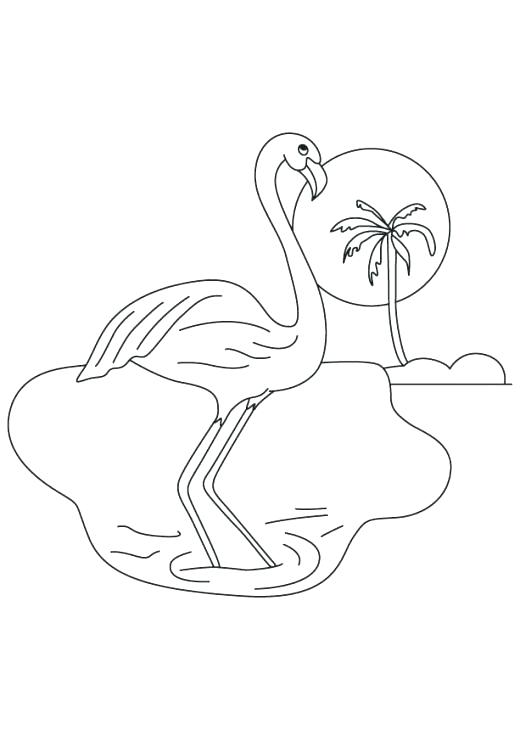 520x730 Pink Coloring Pages Pink Coloring Pages Pink Dolphin Coloring