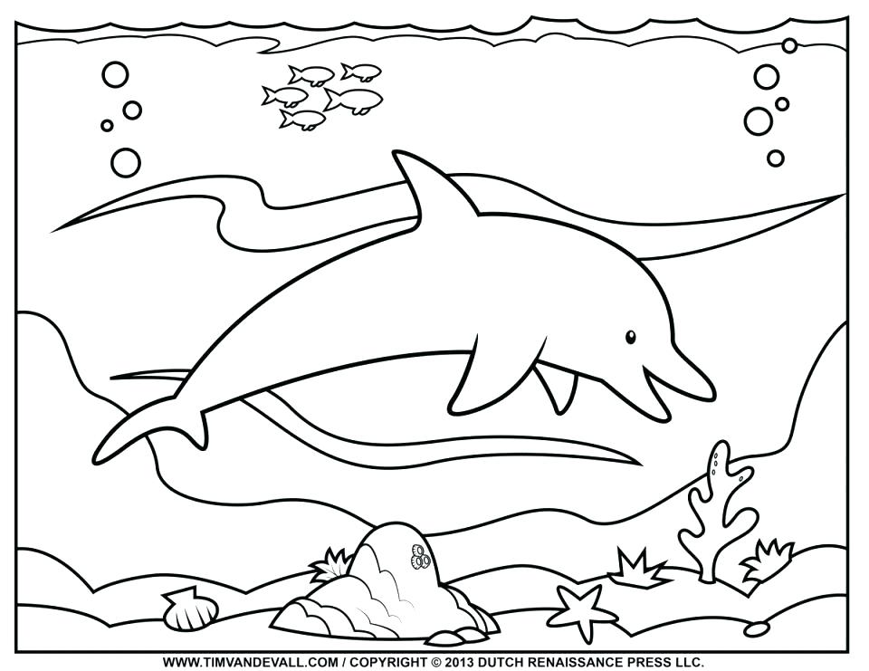 960x741 Cute Dolphin Coloring Pages Free Dolphin Coloring Pages Cute