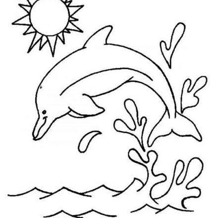 440x440 Dolphin Coloring Pages 39 Sea Animals And Sea Creatures Coloring