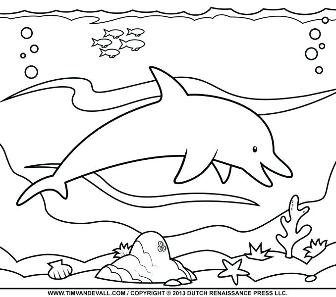 Pink Dolphin Coloring Pages at GetColorings.com | Free printable ...