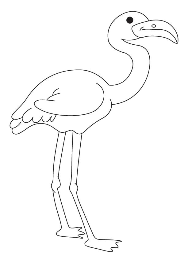 Flamingo Coloring Page Elegant Flamingos Coloring Pages To Kids 613x860 Flamingo Coloring Page Elegant Flamingos Coloring Pages To Kids