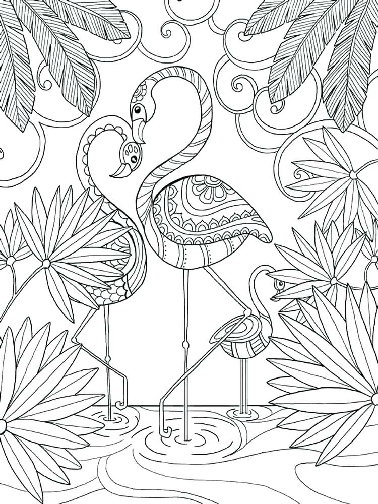 Flamingo Coloring Page Flamingo Coloring Page Flamingo Coloring 750x1000 Flamingo Coloring Page Flamingo Coloring Page Flamingo Coloring