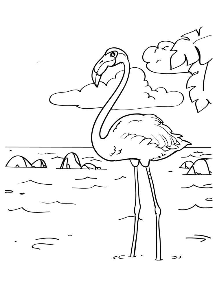 Flamingo Coloring Pages Elegant Tropical Pink Flamingo Page 750x1000 Flamingo Coloring Pages Elegant Tropical Pink Flamingo Page