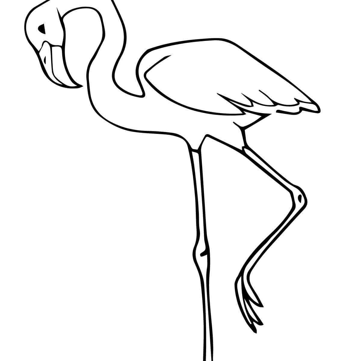 Flamingooring Pages For Adults Cartoon Bird Cute 8 280 Unique 1200x1200 Flamingooring Pages For Adults Cartoon Bird Cute 8 280 Unique