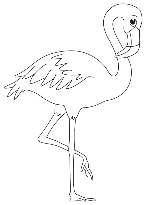 Best Pink Flamingo Coloring Pages Free 3790 Printable 613x860 Best Pink Flamingo Coloring Pages Free 3790 Printable