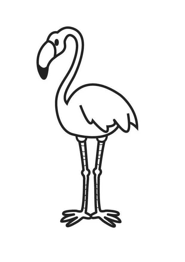 Pink Flamingo Coloring Pages 620x875 Pink Flamingo Coloring Pages