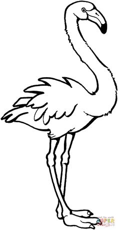 Pink Flamingo Coloring Page Flamingos Category. Select 236x459 Pink Flamingo Coloring Page Flamingos Category. Select