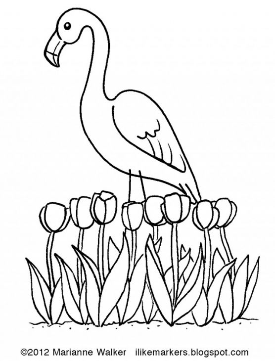 The Exotic Pink Bird Flamingo Coloring Page Free To Print Animal 556x730 The Exotic Pink Bird Flamingo Coloring Page Free To Print Animal