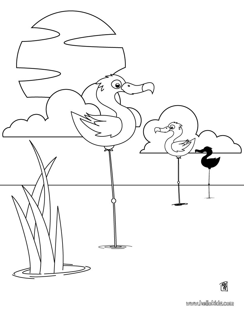 Flamingo Coloring Pages, Drawing For Kids, Free Online Games 820x1060 Flamingo Coloring Pages, Drawing For Kids, Free Online Games