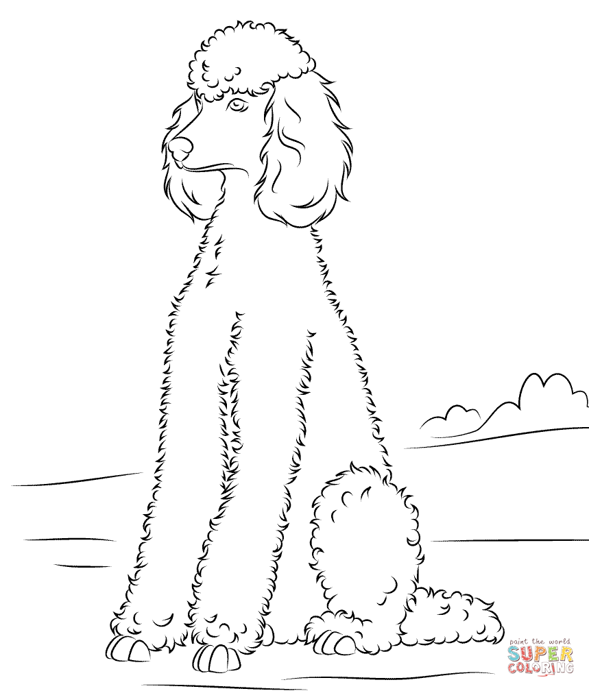 Poodle Super Coloring Dog Patterns Poodle And Dog 859x1008 Poodle Super Coloring Dog Patterns Poodle And Dog