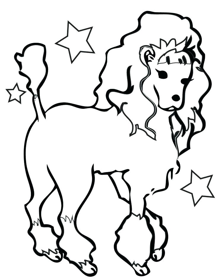 Poodle Coloring Page A Standard Poodle In Competition Coloring 728x942 Poodle Coloring Page A Standard Poodle In Competition Coloring