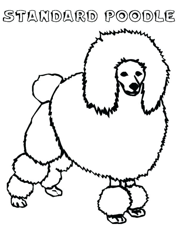 Poodle Coloring Page Glamorous Poodle Coloring Page Crayola Photo 600x788 Poodle Coloring Page Glamorous Poodle Coloring Page Crayola Photo